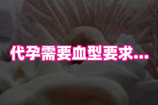 点点助孕网 1