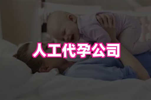 点点助孕网 2