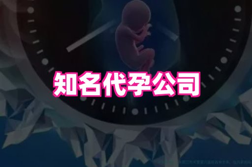 点点助孕网 3