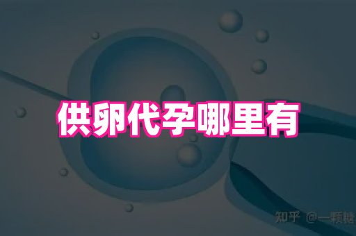 点点助孕网 4